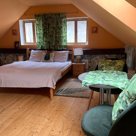 Loft Natalya Gold Apartment Cesky Krumlov Ngoại thất bức ảnh
