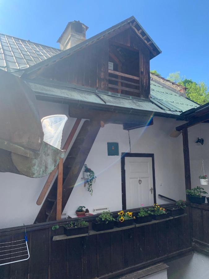 Loft Natalya Gold Apartment Cesky Krumlov Ngoại thất bức ảnh